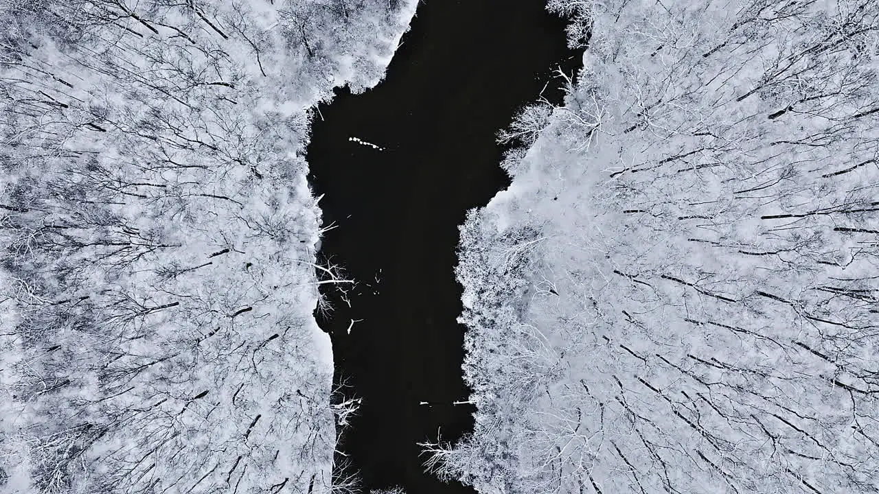 A drone's cinematic sweep above the snow-covered canopy of a forest and river