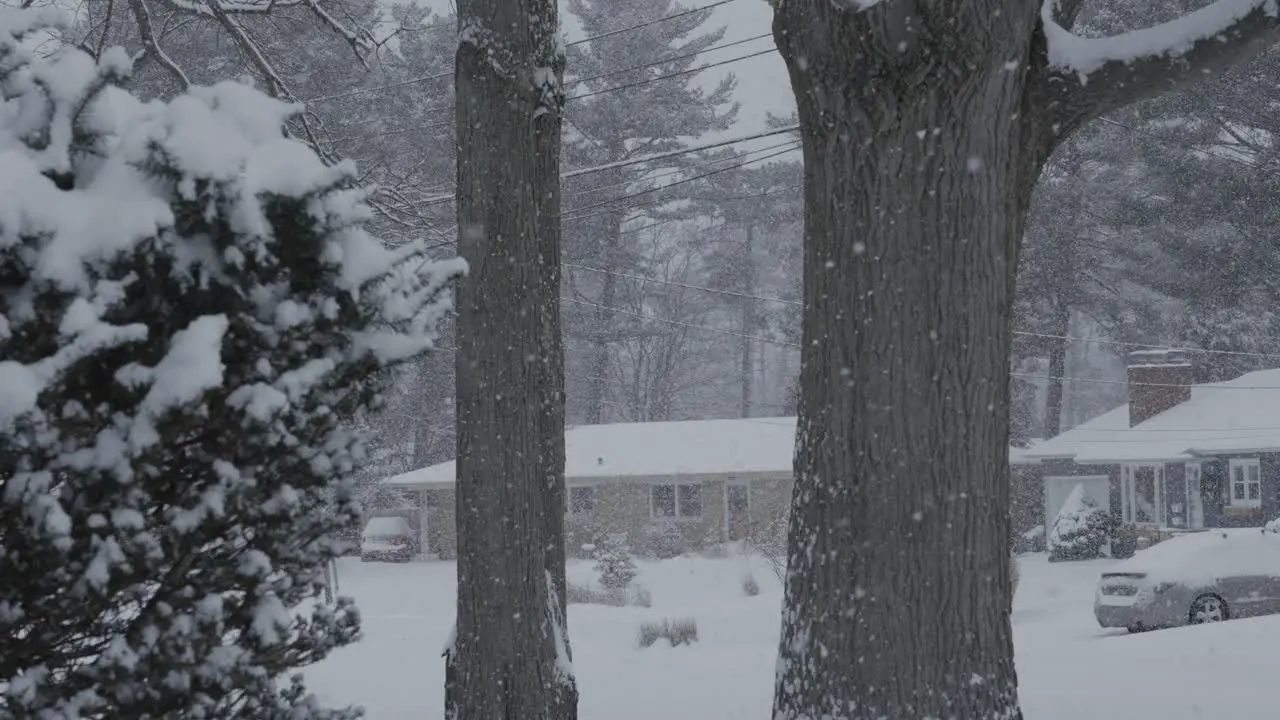 A January whiteout storm in Michigan neighborhood