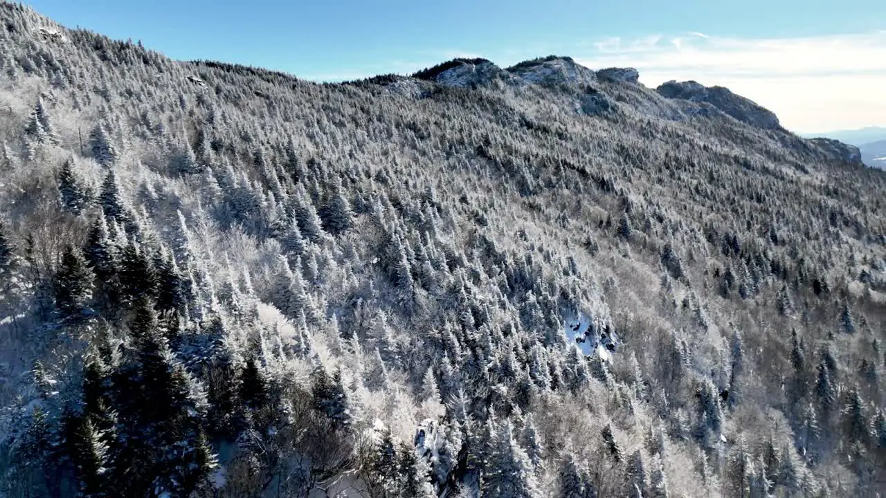 Rime Ice on Grandfather Mountain NC North Carolina