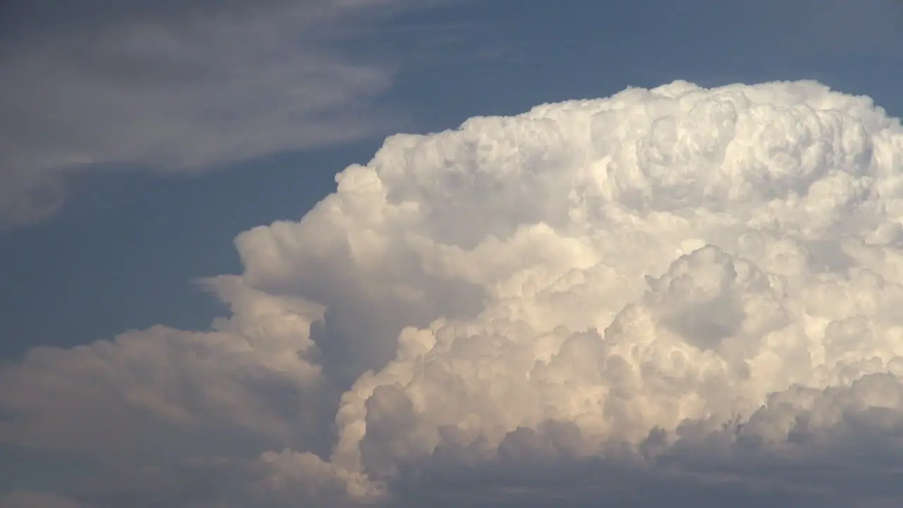 California Cumulonimbus Clouds W Bird