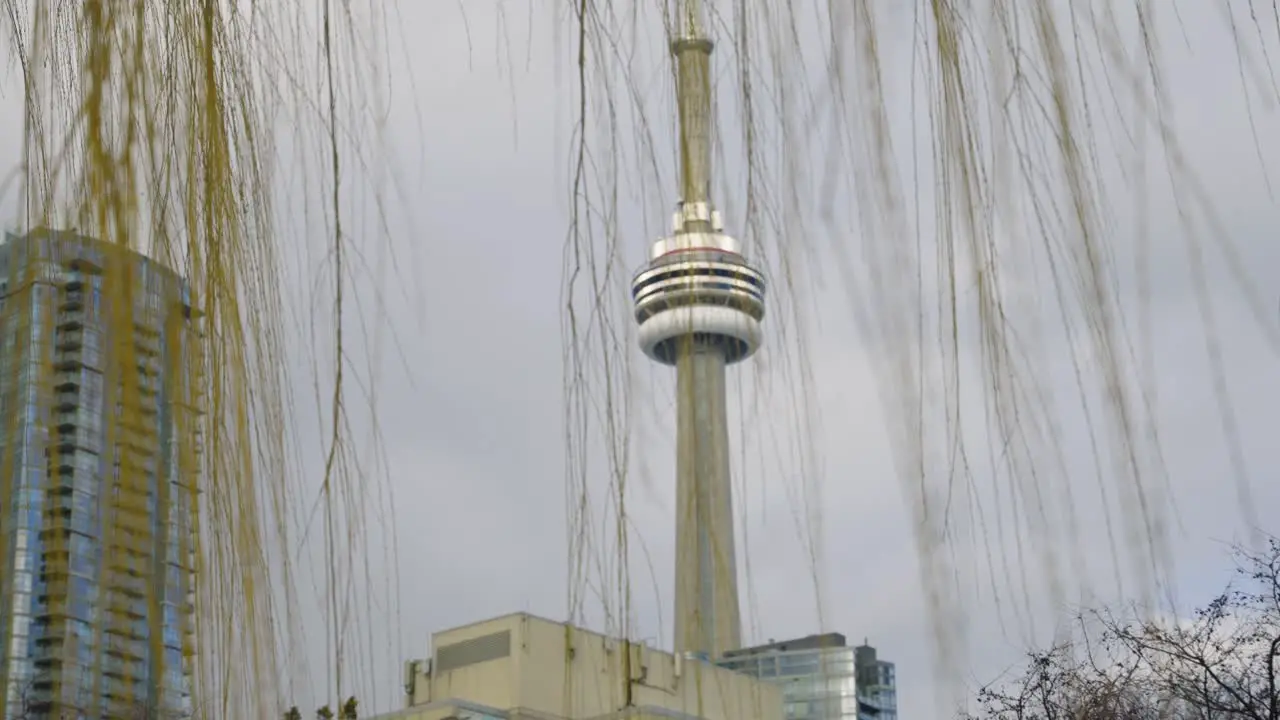 CN tower stands tall through tree leaves waving in slow motion