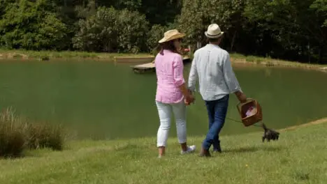 Tracking Shot Following Middle Aged Couple Walking a Dog Next to Scenic Lake