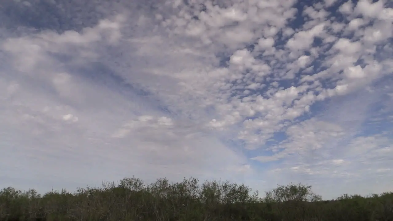 Florida Everglades Fascinating Sky Above Low Shrubs