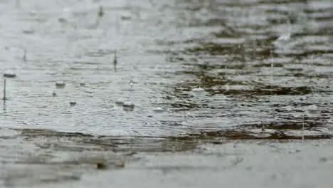 Long Shot of Heavy Rain Falling into a Puddle 