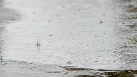 Tilting Shot Revealing Heavy Rain Falling On the Ground