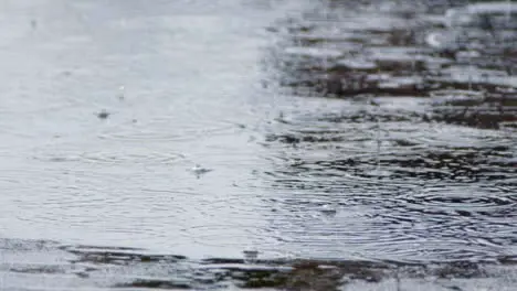 Tilting Shot Revealing Heavy Rain Falling On Ground