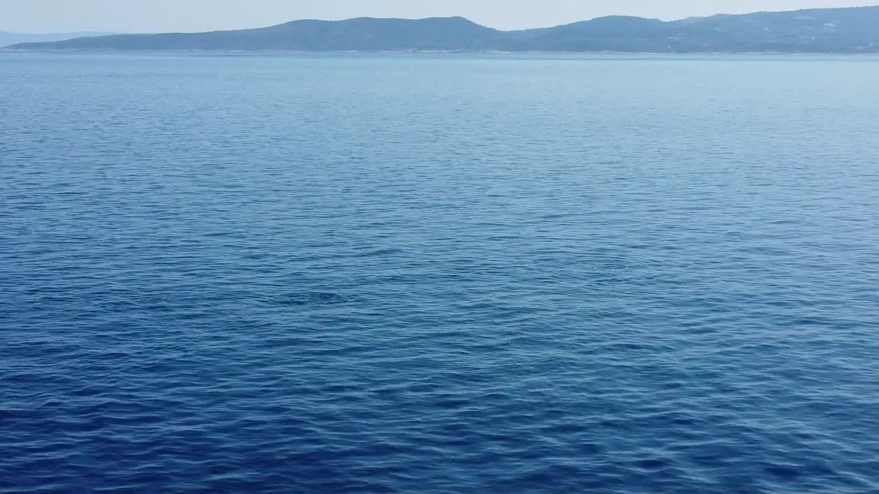 a group of Adriatic dolphins filmed from the lift with the island of brac in croatia in the background