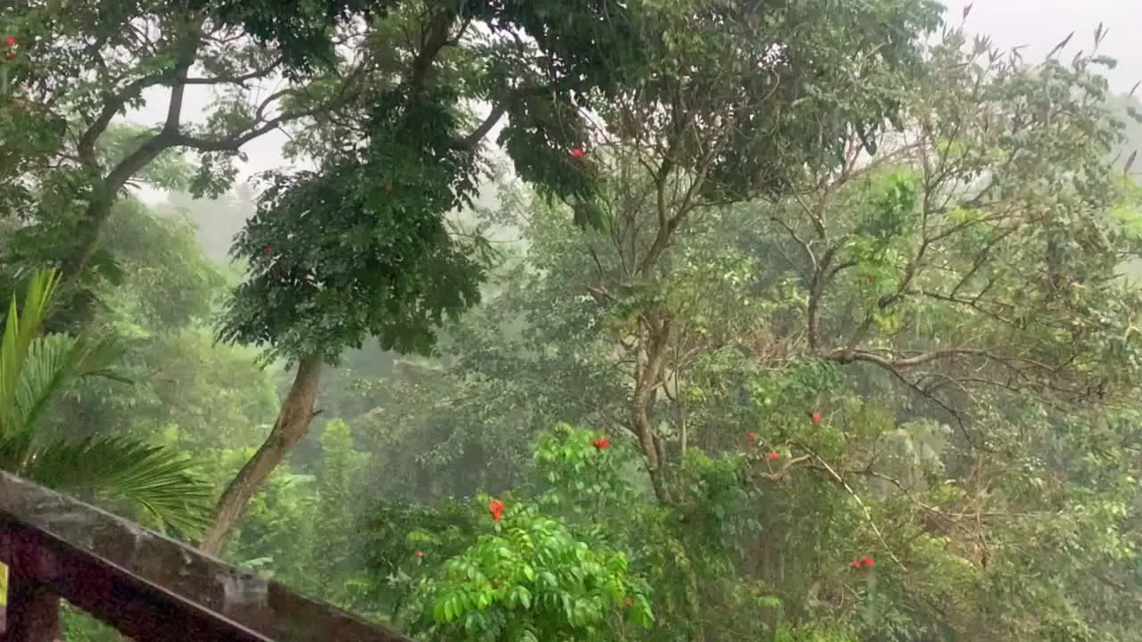 Slow-mo balcony view of a Bali rainforest storm