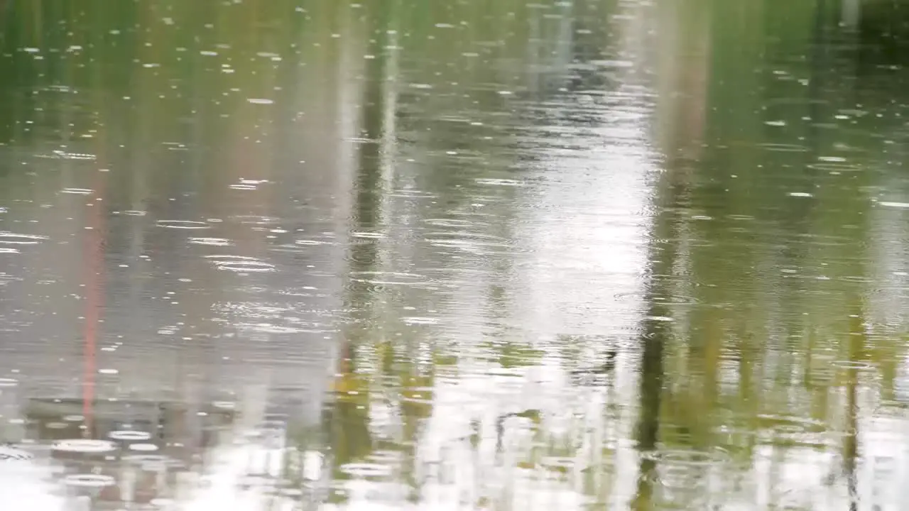 Heavy raining water on pond