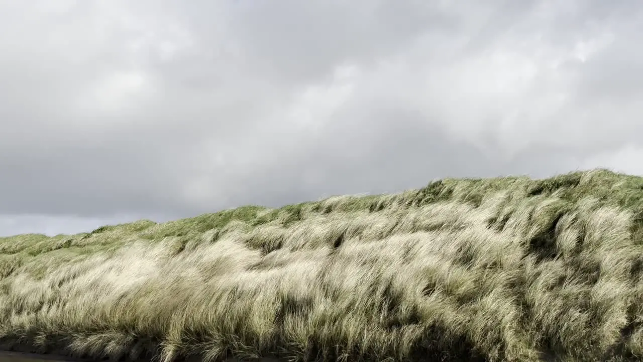 Grey clouds passing and dune grass swaying on the wind