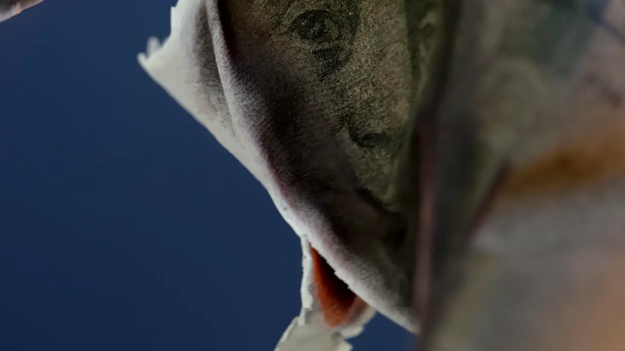 Fire burning through 100 US Dollar bill close up