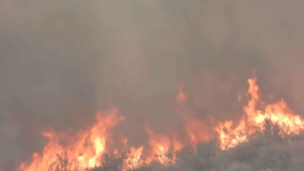 A terrifying wild fire out of control and burning heavy smoke and flames