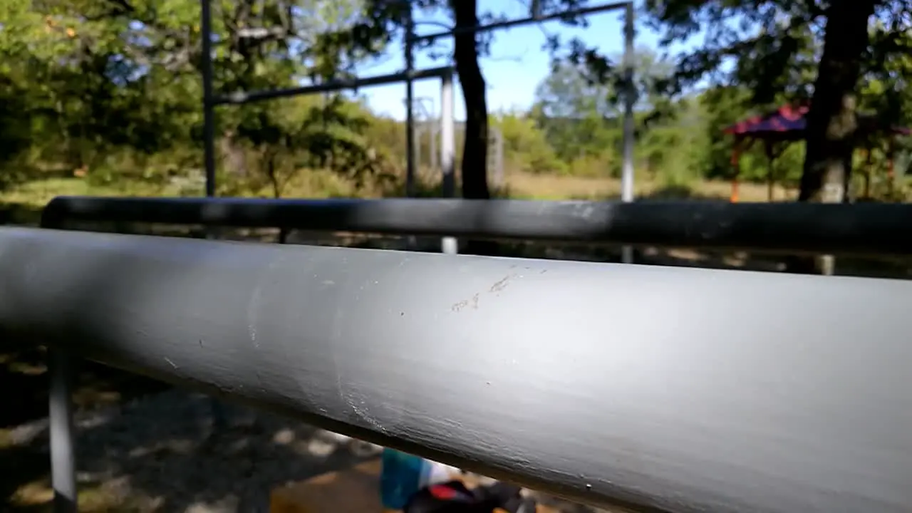 Yellow wasp flies off of dip bar in workout park on a sunny day