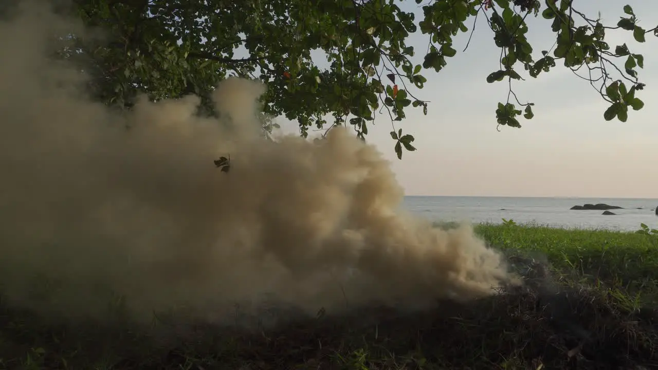 Open burn rubbish near sea