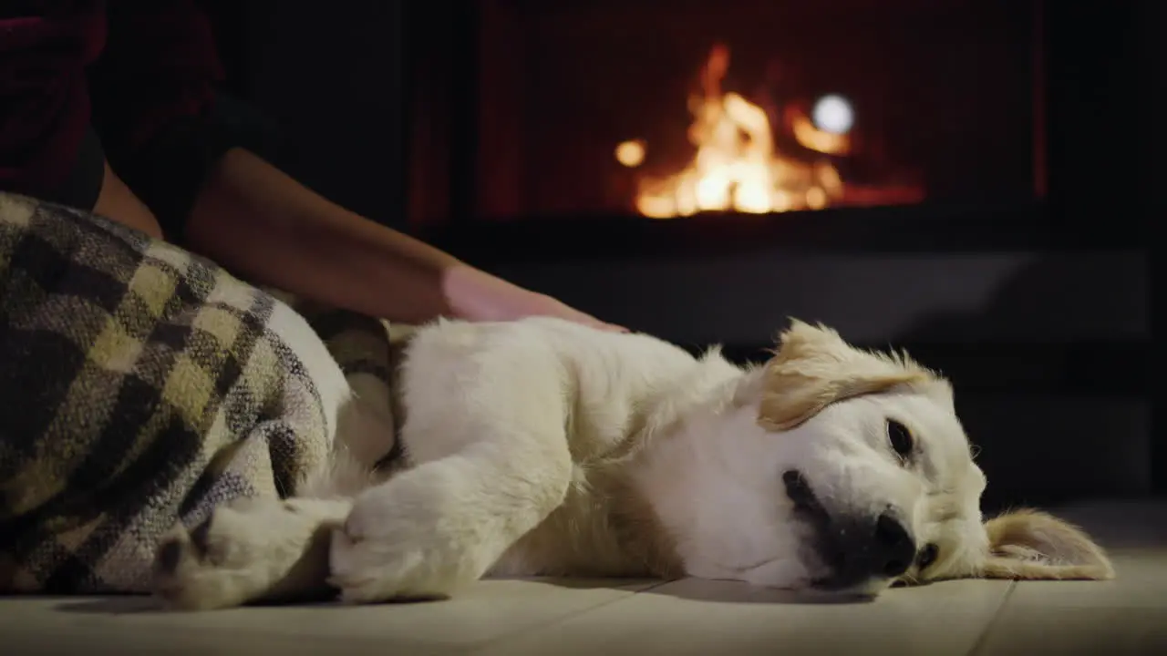 Woman and cute golden retriever puppy resting near a burning fireplace