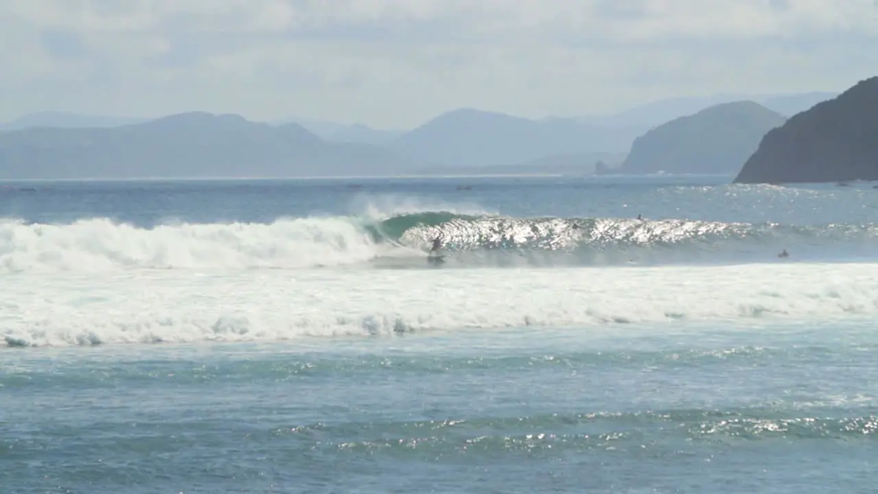 Surfing a Wave on a Tropical Beach