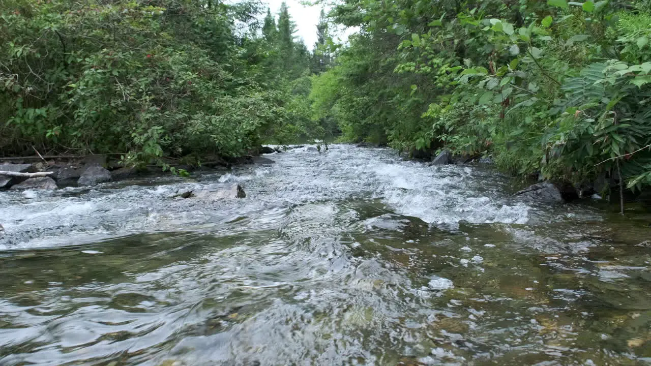 POV Looking Downstream On River With Rapids