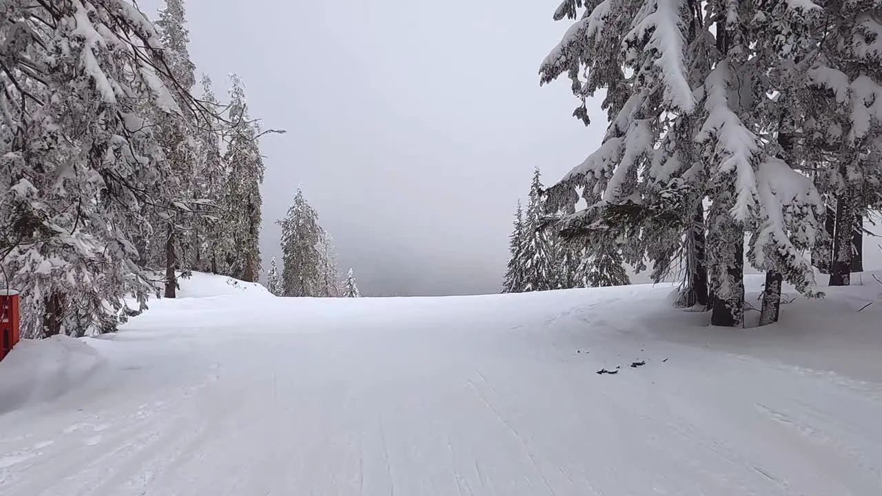 Ski Run Between Snow Covered Trees