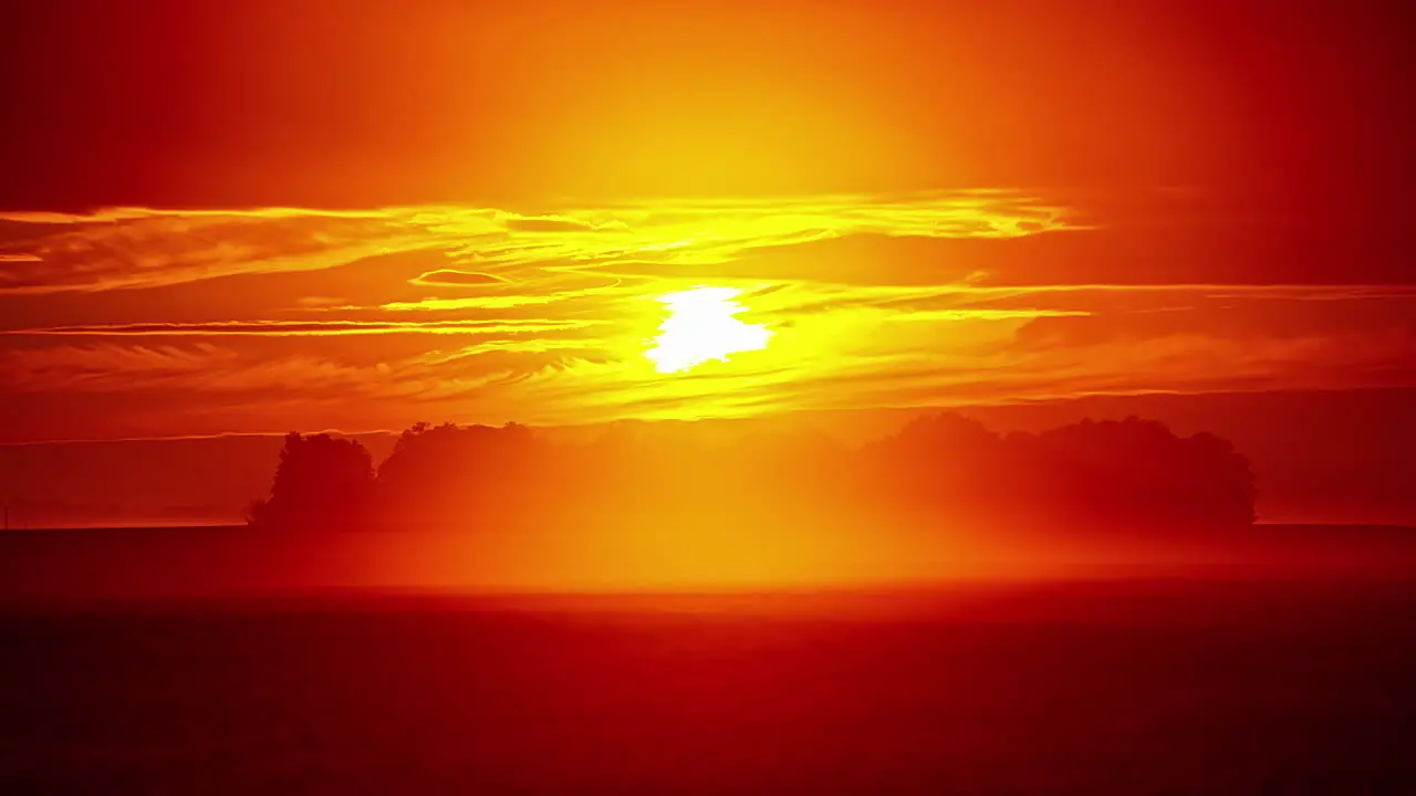 Time lapse shot of golden sunset behind forest trees on field during flying clouds at sky