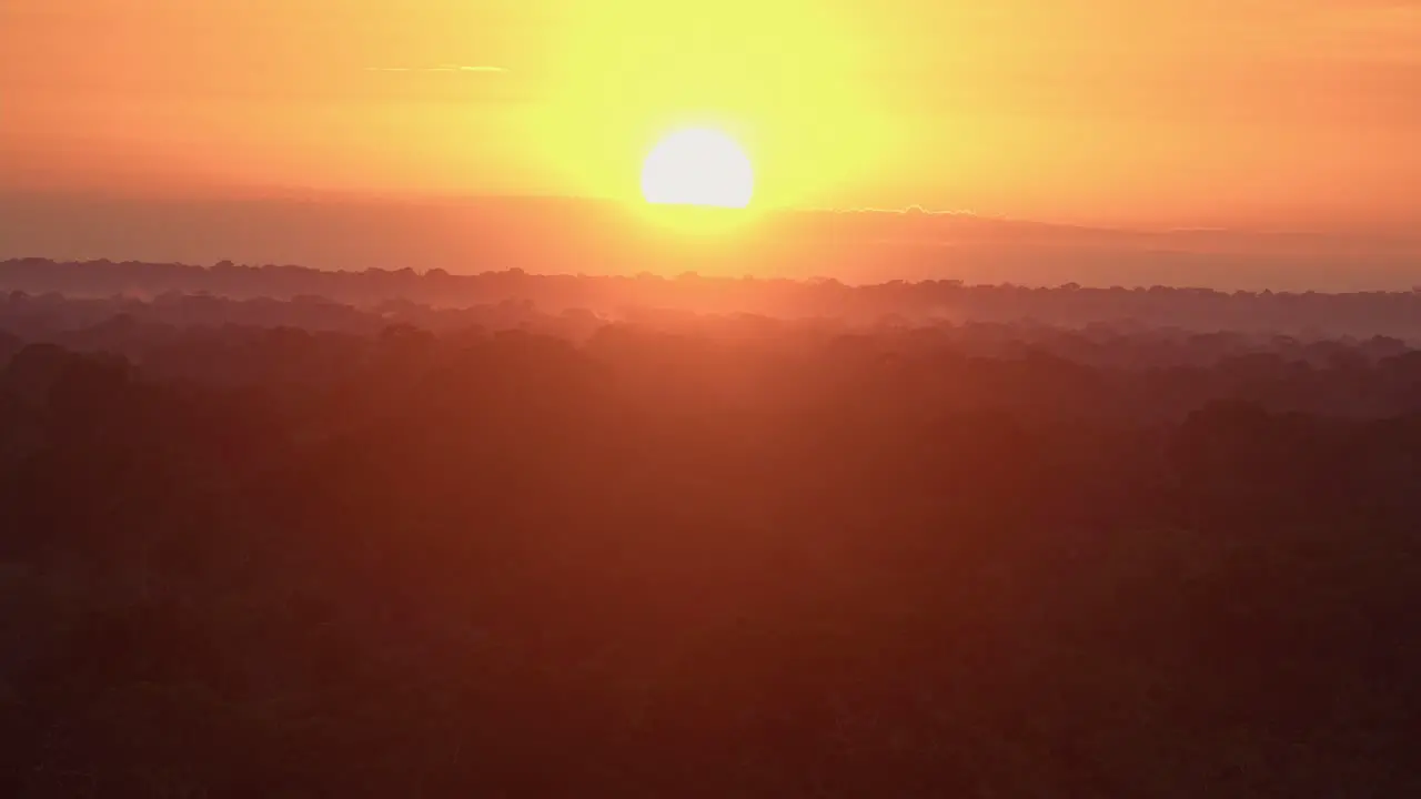 Sunrise over rainforest in Tambopata National Reserve