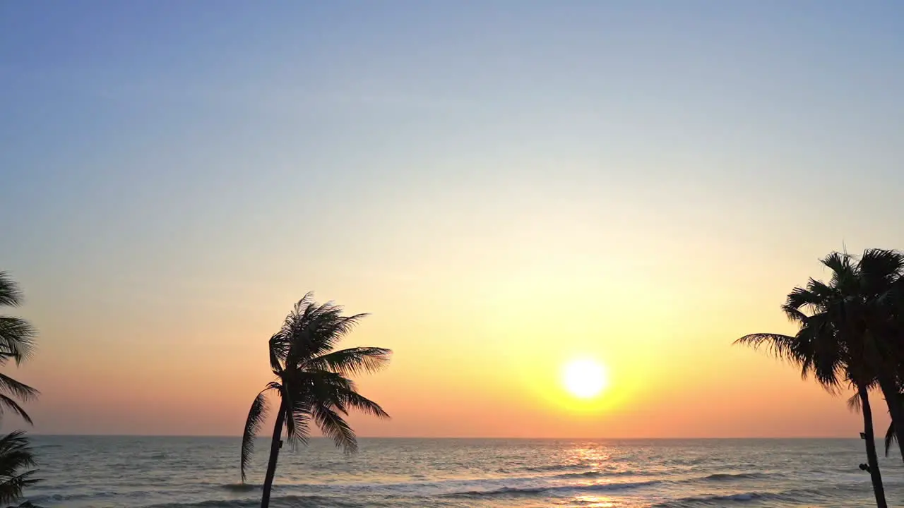 Silhouette of palm trees with sea in background at sunset