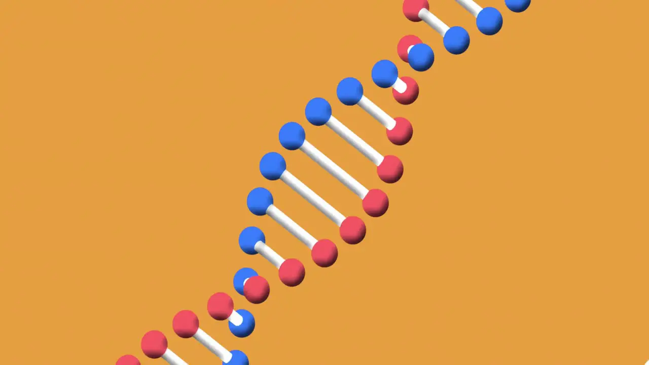 Animation of dna structure spinning against with copy space on orange background