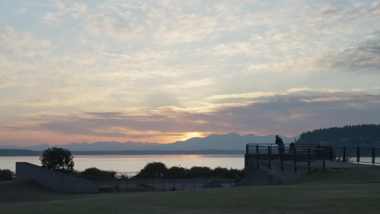 Beautiful sunset with park silhouette