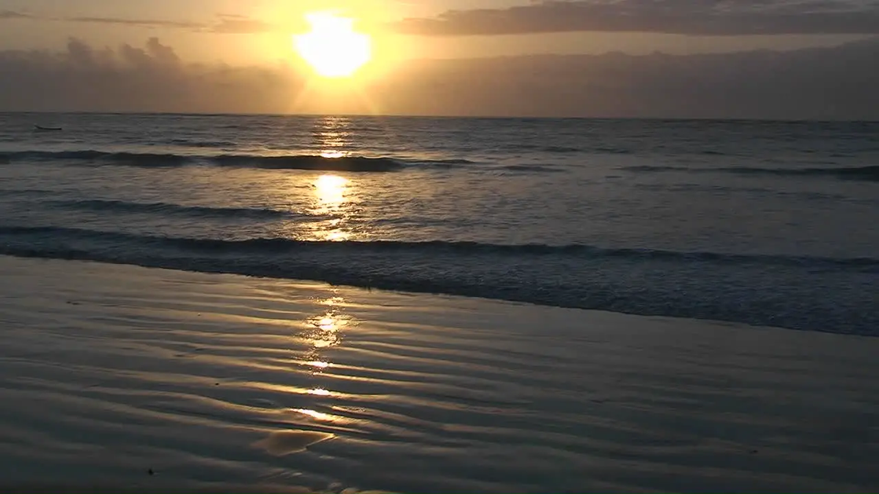 Oceanic shoreline at sunset