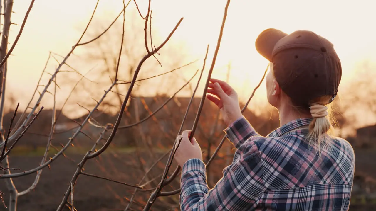 Young Woman Gardener Examines Tree Branches In The Garden