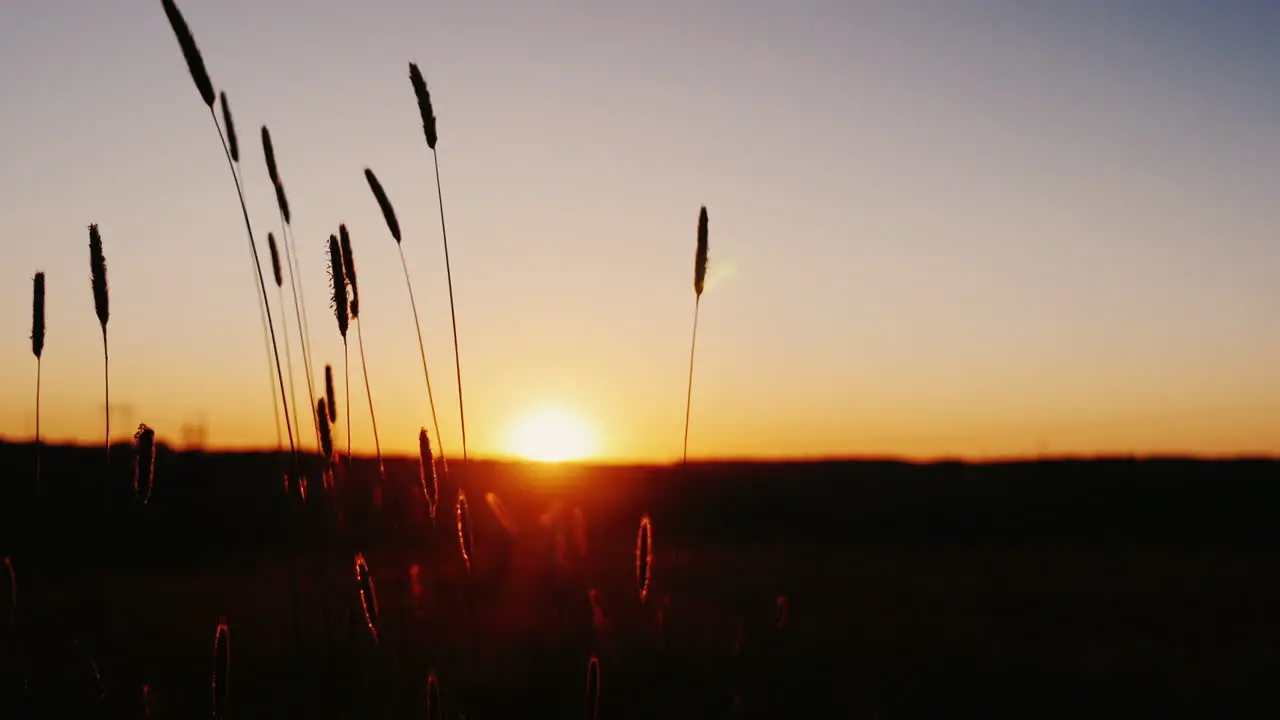 Woman And Girl Jogging At Sunset Silhouetted Against The Setting Sun