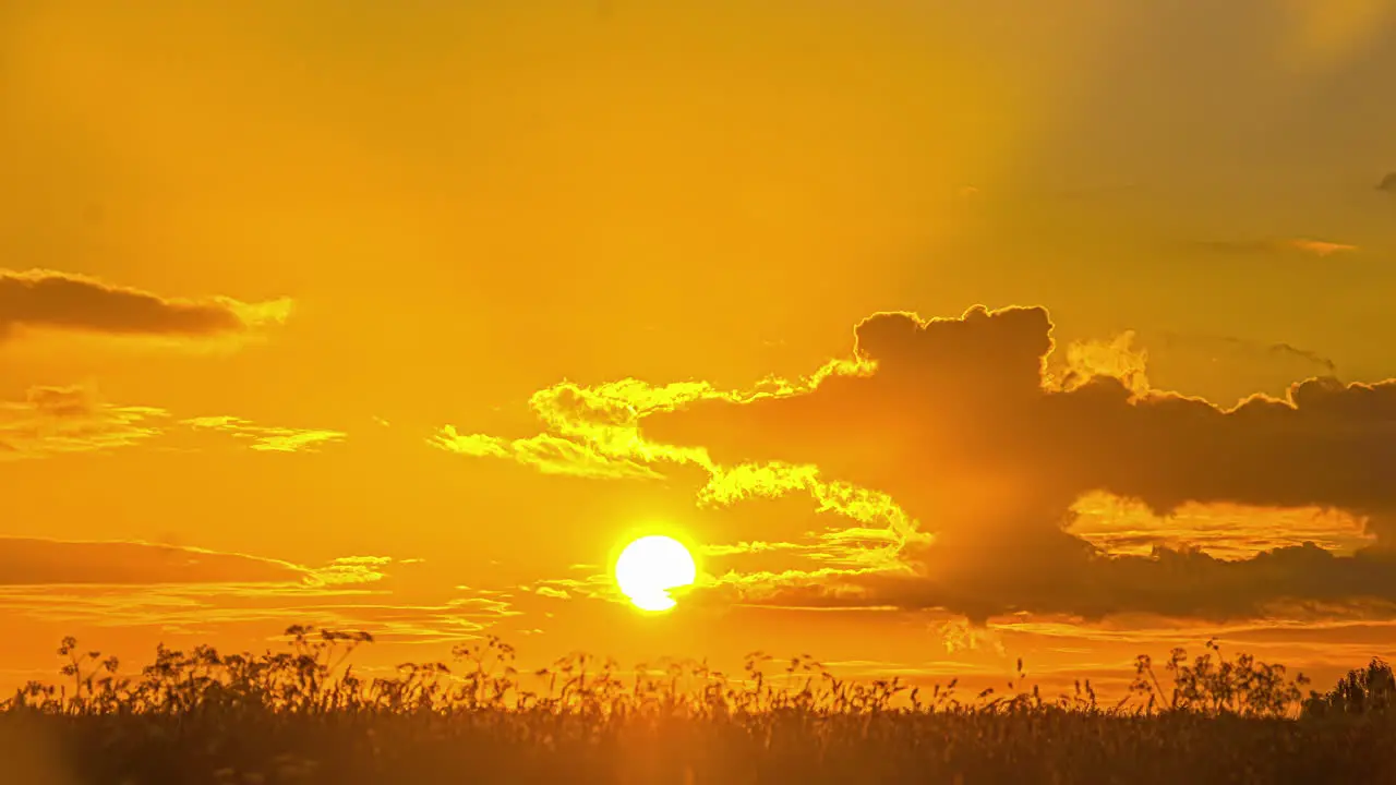 Telephoto time lapse shot of bright round yellow sun setting vivid golden sky with clouds flying right low angle view from meadow