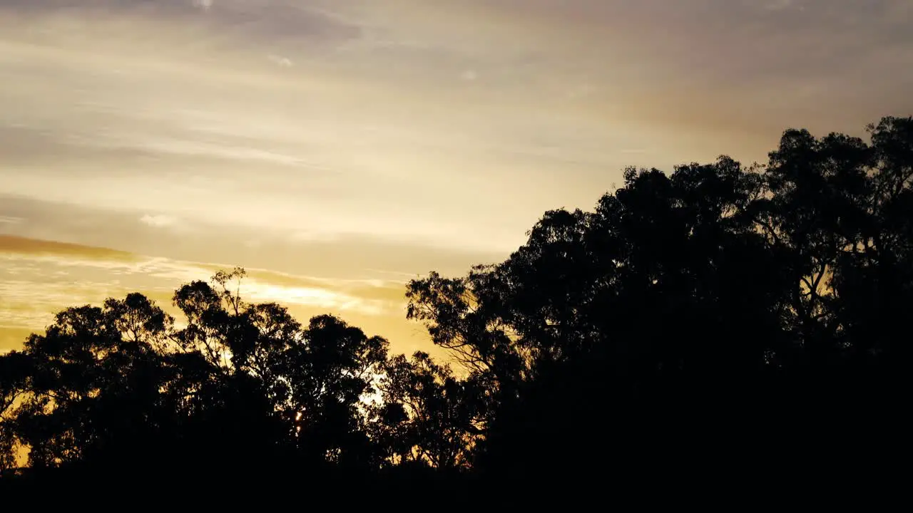 Clouds And Trees In Silhouette Moving With The Wind In Sunset Ecstatic Festival In Hare Krishna Valley Australia timelapse