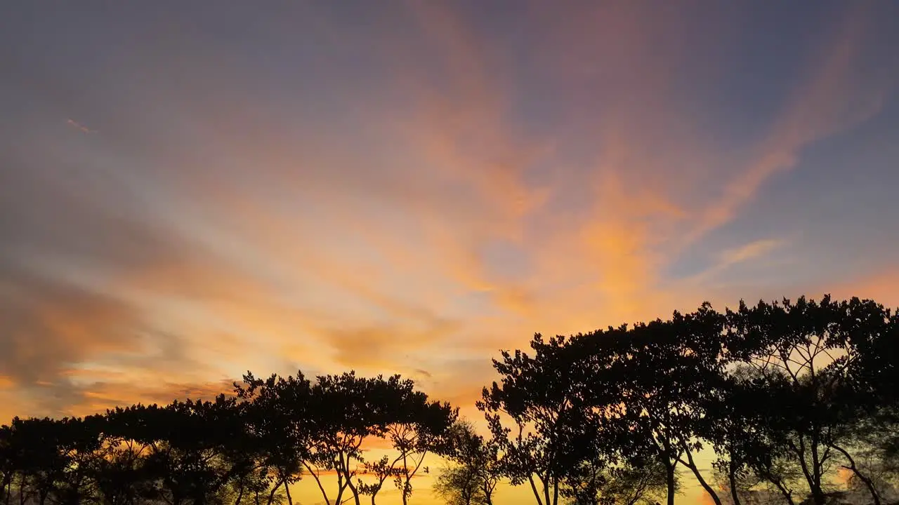 Colorful orange and yellow sunset above trees