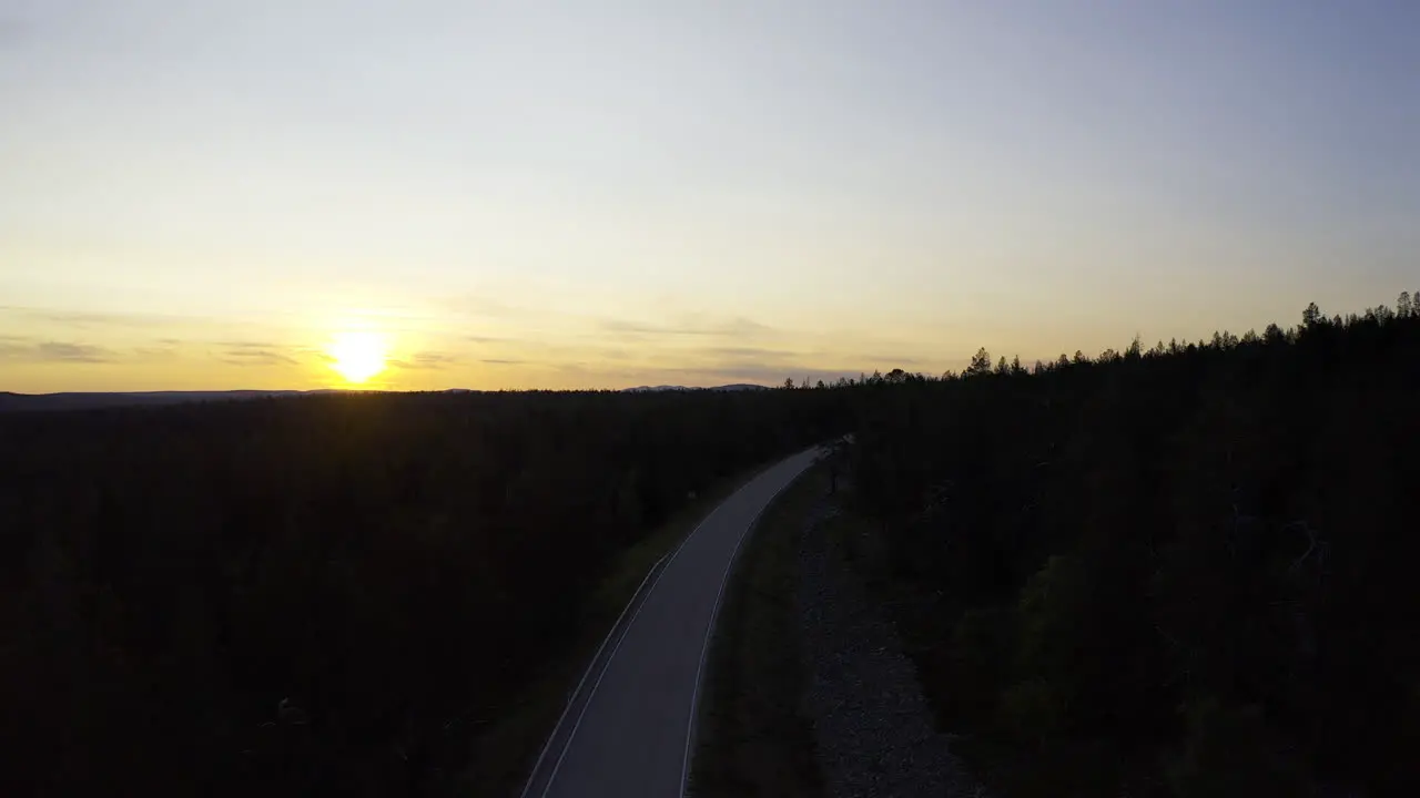 Empty road in the middle of forest during sunrise