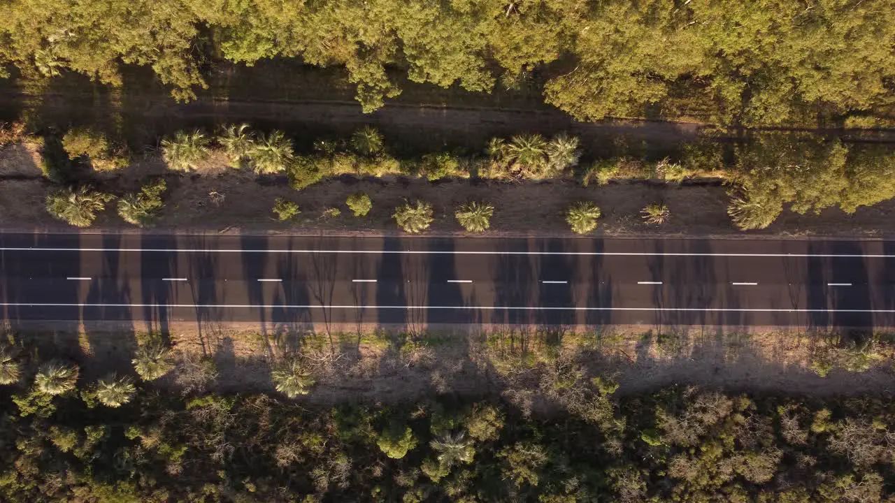 Aerial top down view over isolated grey car driving along straight rural country road of Uruguay surrounded by vegetation