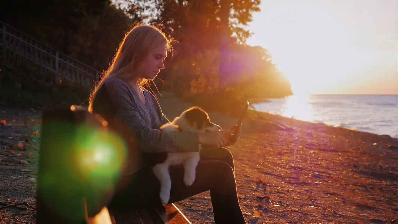 A woman rests with a dog sitting on a bench against the backdrop of a beautiful sunset over Lake Ontario 1