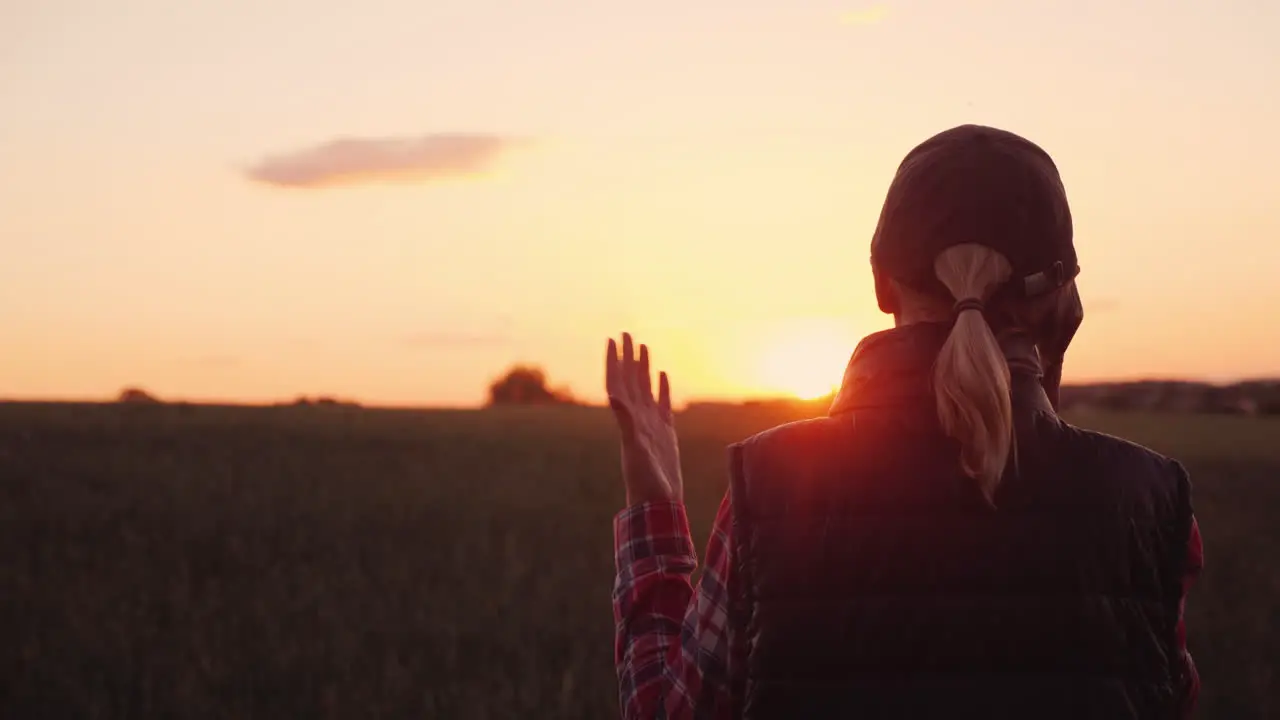 An Angry Farmer Is Talking Emotionally On The Phone Standing In The Wheat Field At Sunset 4K Video