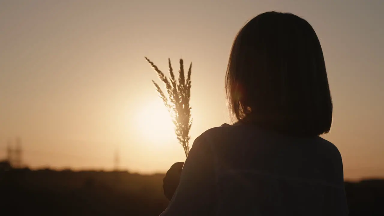 Woman stands at sunset in a field of grass