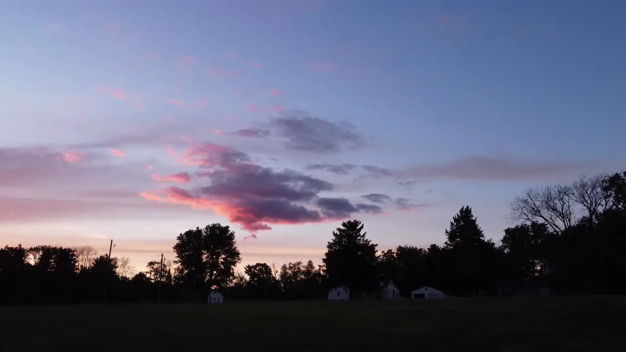 Doe deer in a field at sunset-16