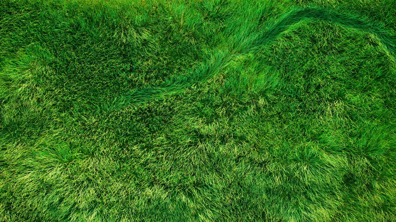 Animation Topview of a soccer ball thrown onto a green football field 3d animated blades of grass subtle waving in the wind and air soccer ball running from left to right