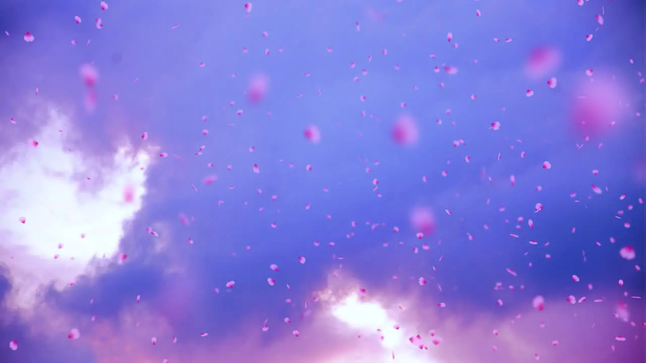 Very nice animation of "Sakura" cherry blossom petals being blown in the wind against a cloudy background