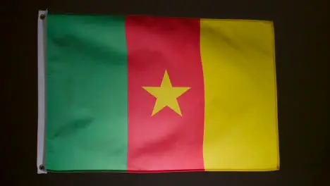 Studio Shot Of Flag Of Cameroon Flying Against Black Background