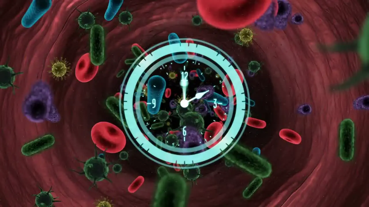 Animation of clock and circular scanner rotating over covid 19 cells and blood cells