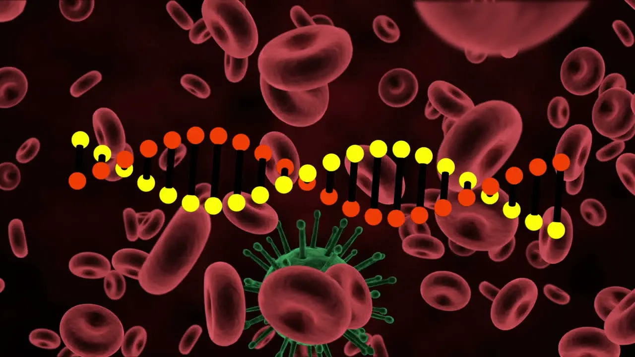 Animation of dna strand rotating over covid cell and blood cells