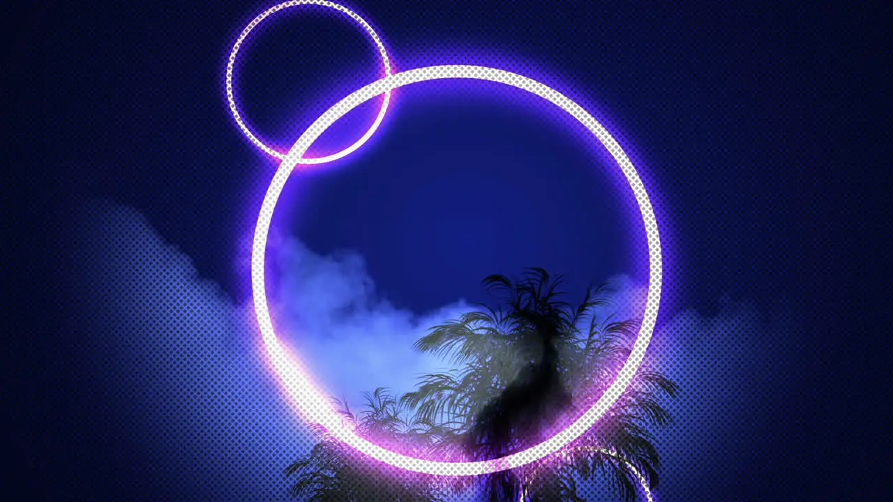 Animation of pink neon circles over black palm tree on dark blue cloudy sky