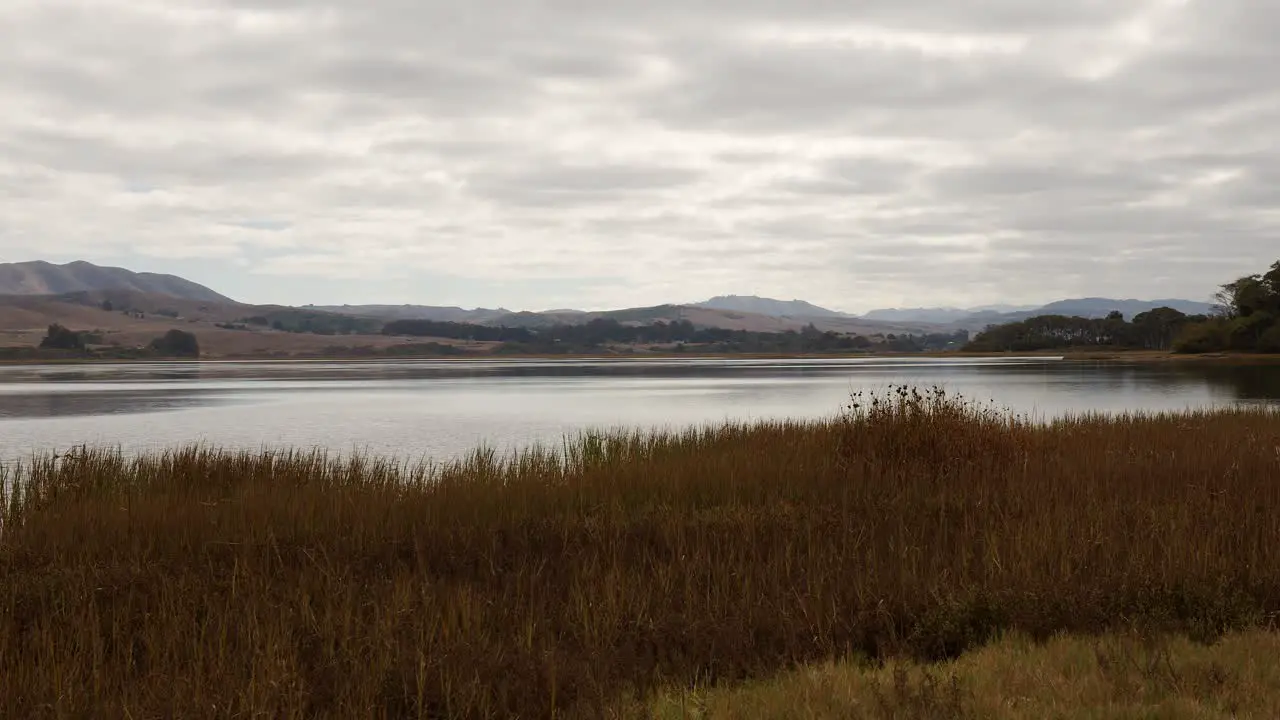 Panning then static shot of Tomales Bay on a partly cloudy day with a brown marsh in the foreground and hills in back