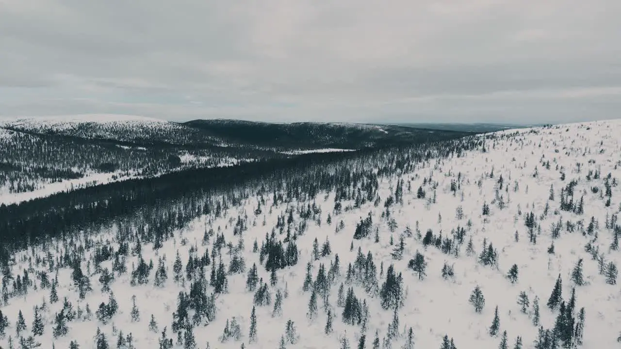 Flying over a forrest in the Swedish mountains on a cold winters day