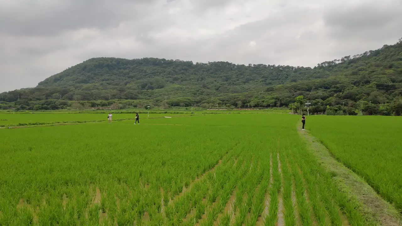 View of tourists visiting rice field touristic spot on a cloudy day in China