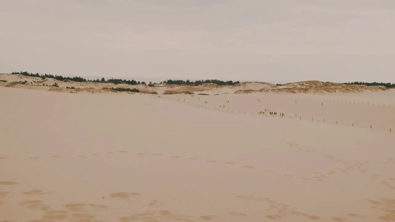 People walking on sand dunes