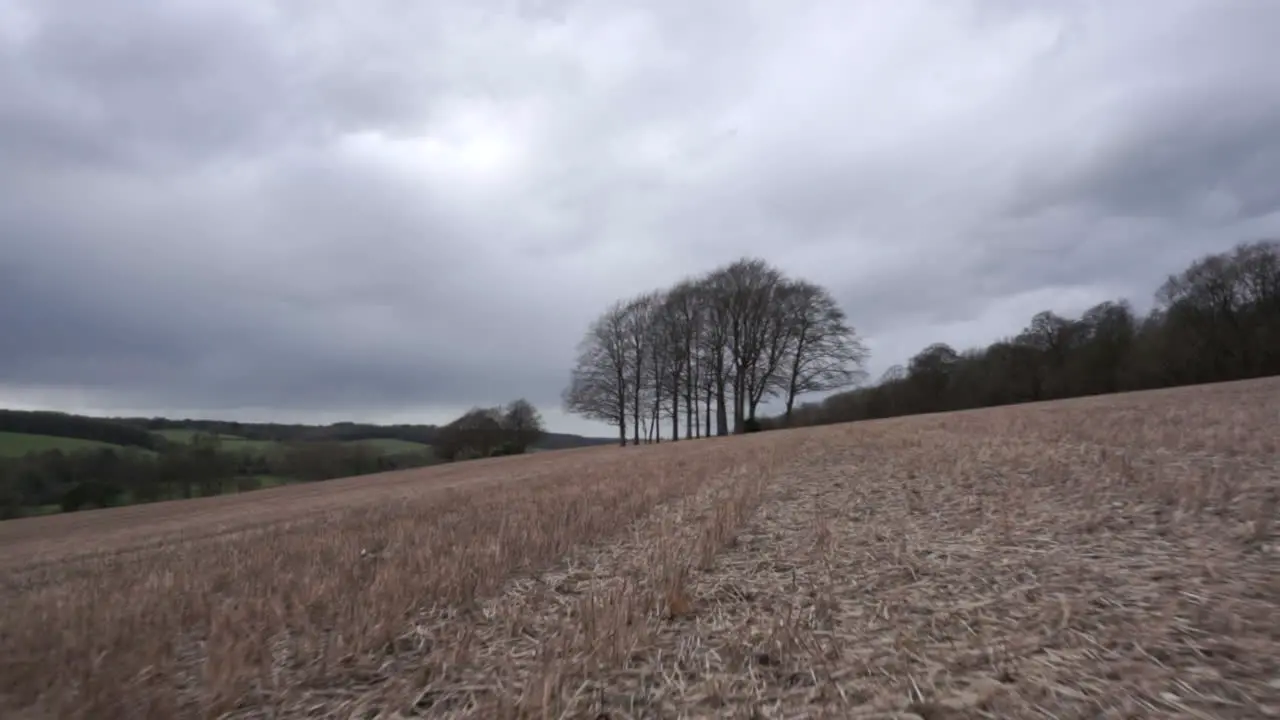 Time lapse while walking towards a tree in an open field